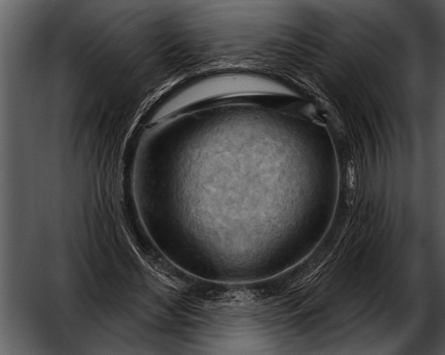 X0000052640492200507160200