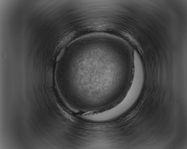 X0000052640493200507160200