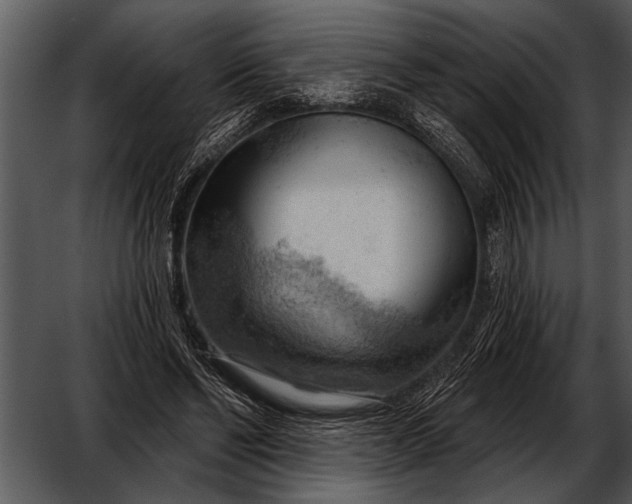 X0000052640494200507160200