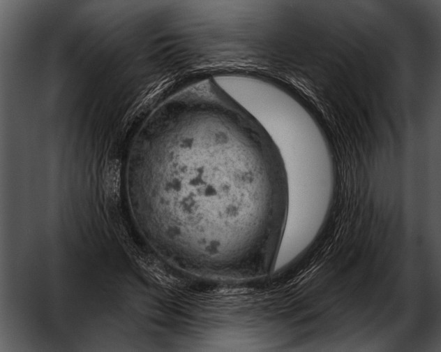 X0000052640495200507160200