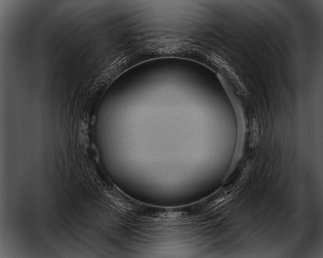 X0000052640497200507160200