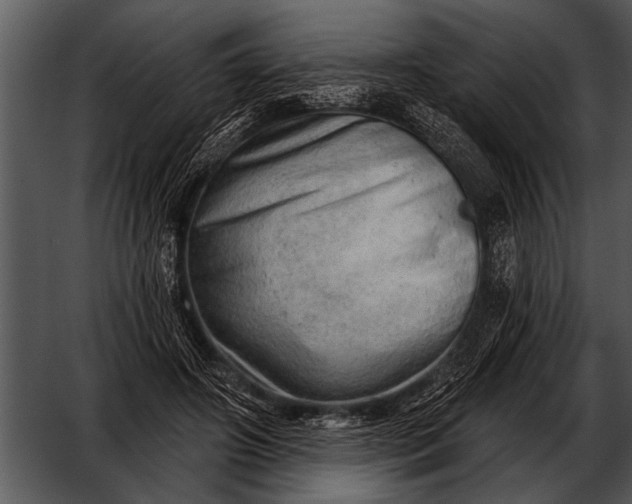 X0000052640498200507160200