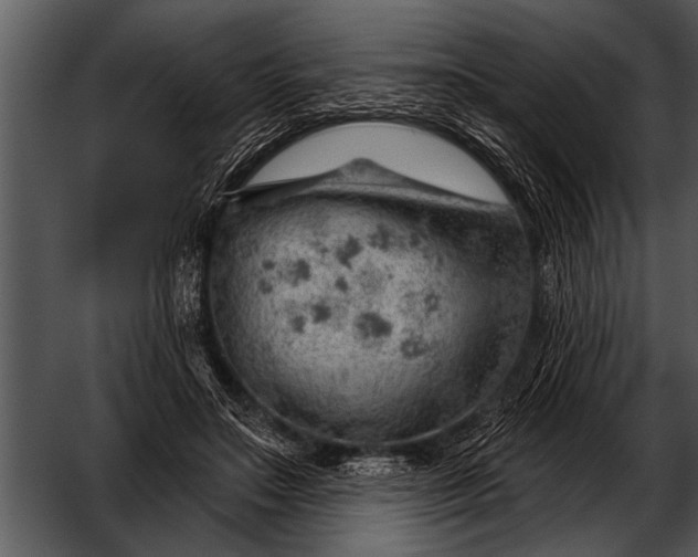 X0000052640499200507160200