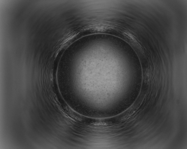 X0000052640500200507160200