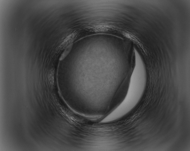 X0000052640501200507160200