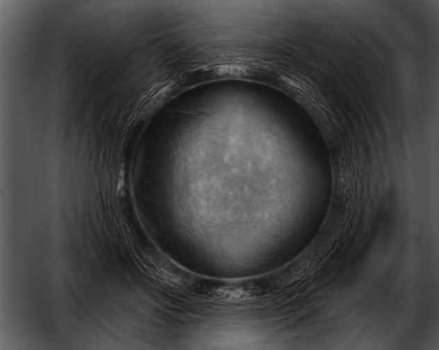 X0000052640502200507160200