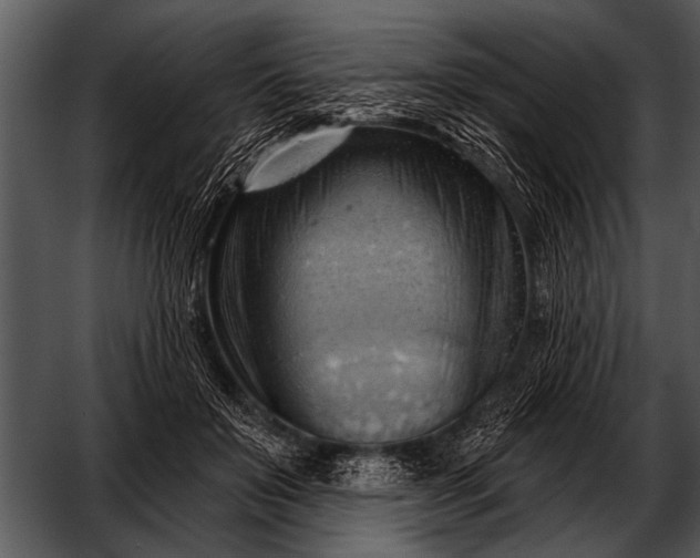 X0000052640503200507160200