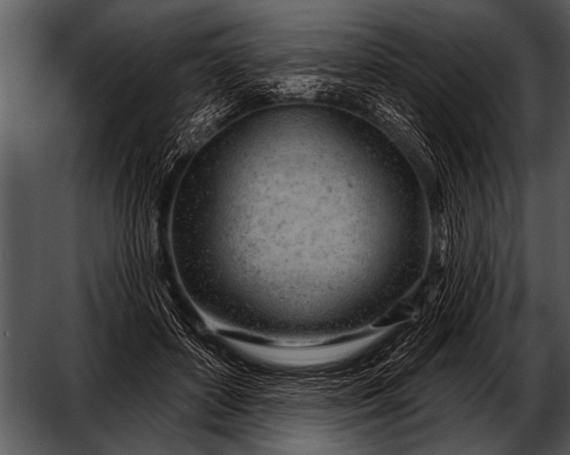 X0000052640504200507160200