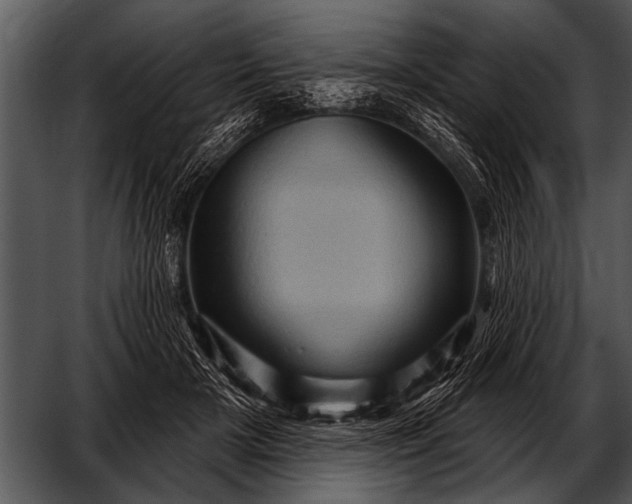 X0000052640505200507160200