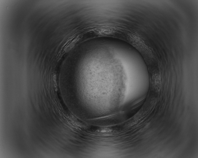 X0000052640506200507160200