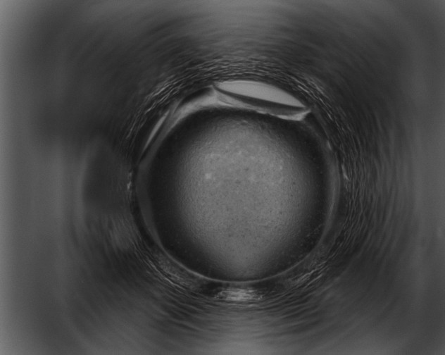 X0000052640507200507160200