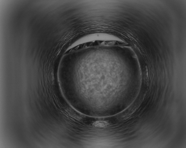 X0000052640508200507160200