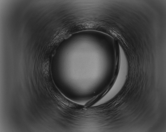 X0000052640509200507160200