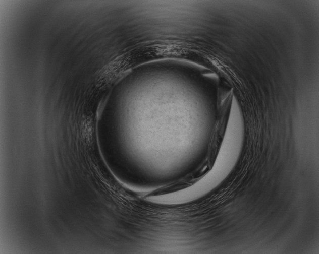 X0000052640513200507160200