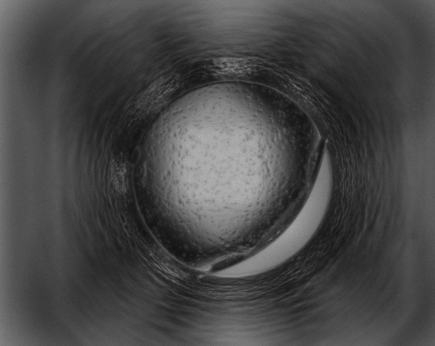 X0000052640514200507160200