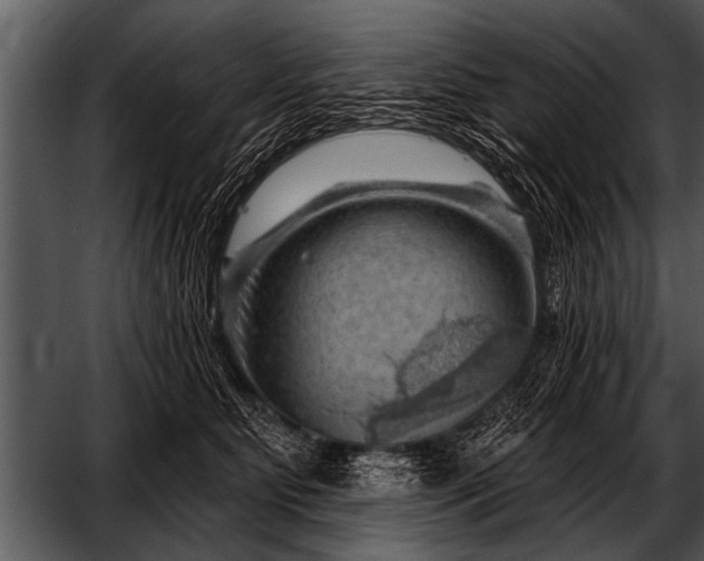 X0000052640515200507160200