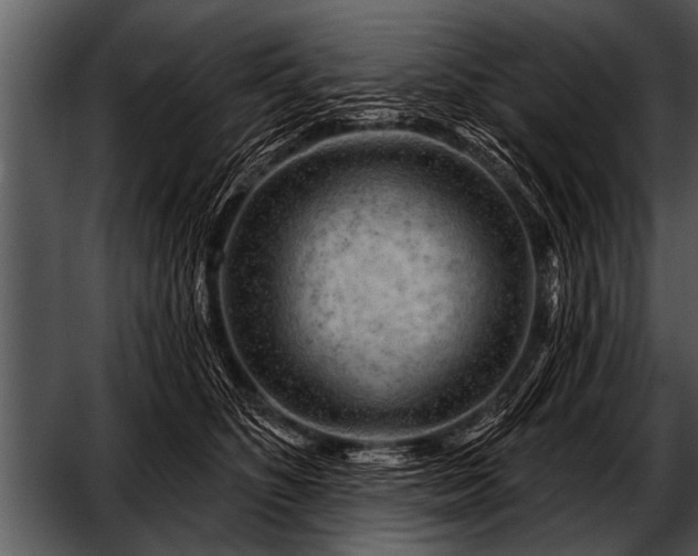 X0000052640516200507160200