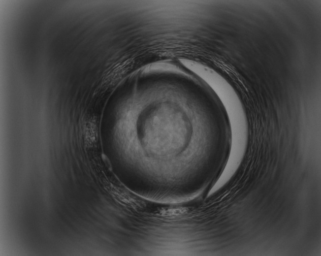 X0000052640517200507160200