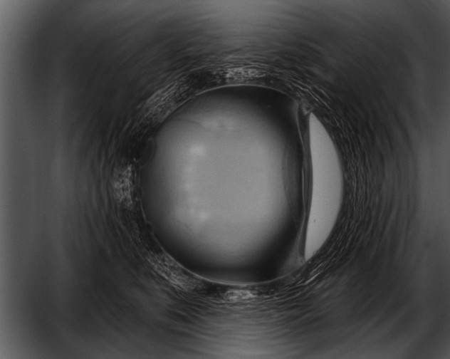 X0000052640519200507160200