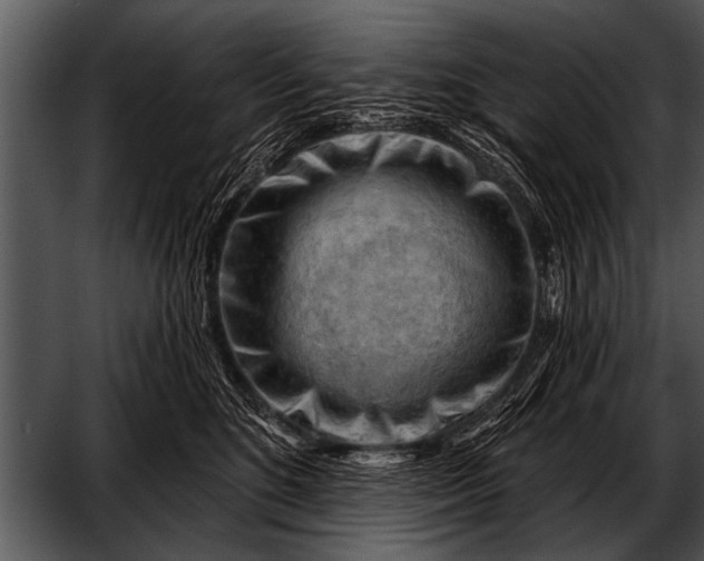 X0000052640520200507160200