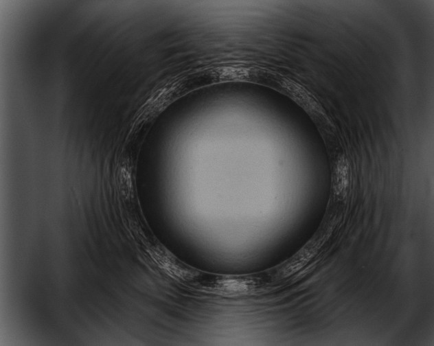 X0000052640522200507160200