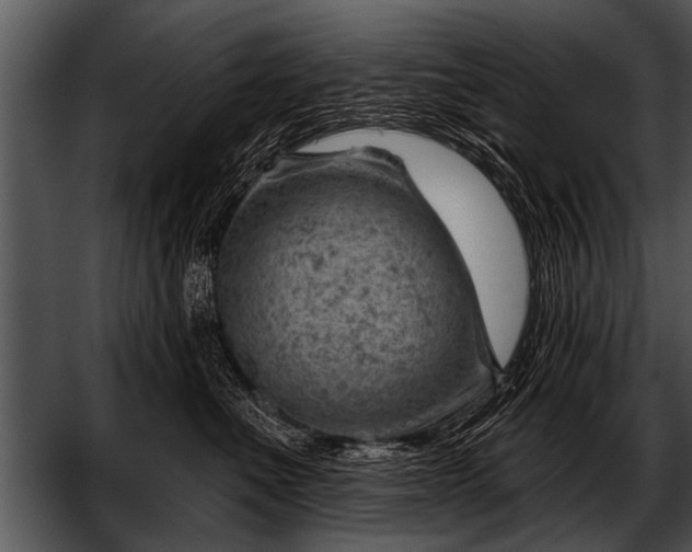 X0000052640523200507160200