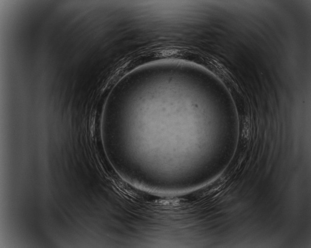 X0000052640524200507160200