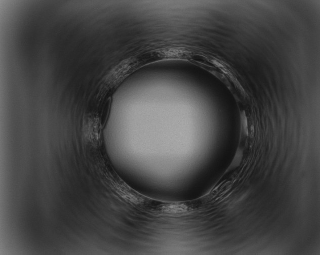 X0000052640525200507160200