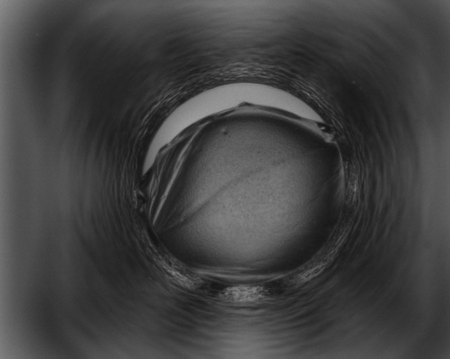 X0000052640526200507160200