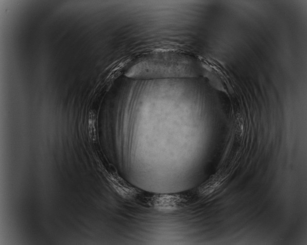 X0000052640527200507160200