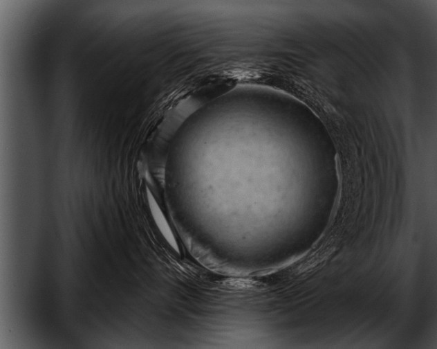 X0000052640528200507160200