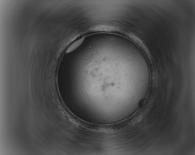 X0000052640529200507160159