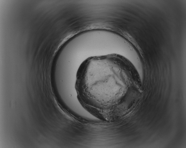 X0000052640530200507160159