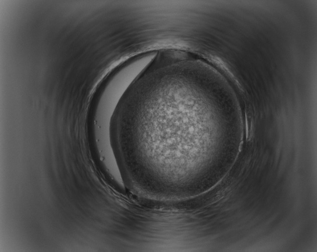 X0000052640531200507160159