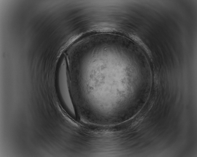 X0000052640533200507160159