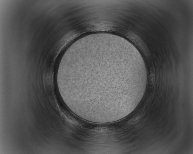 X0000052640534200507160159