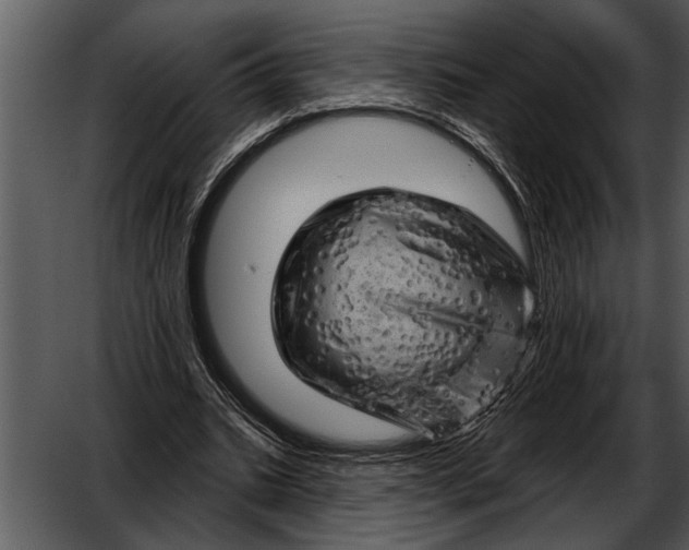 X0000052640535200507160159