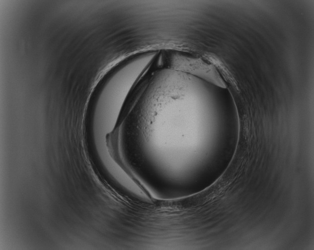 X0000052640536200507160159