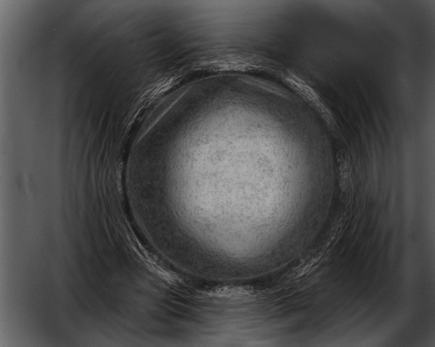 X0000052640537200507160159