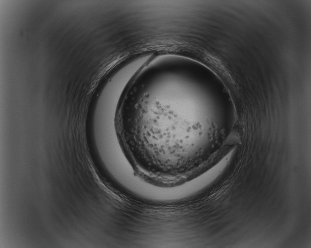 X0000052640538200507160159