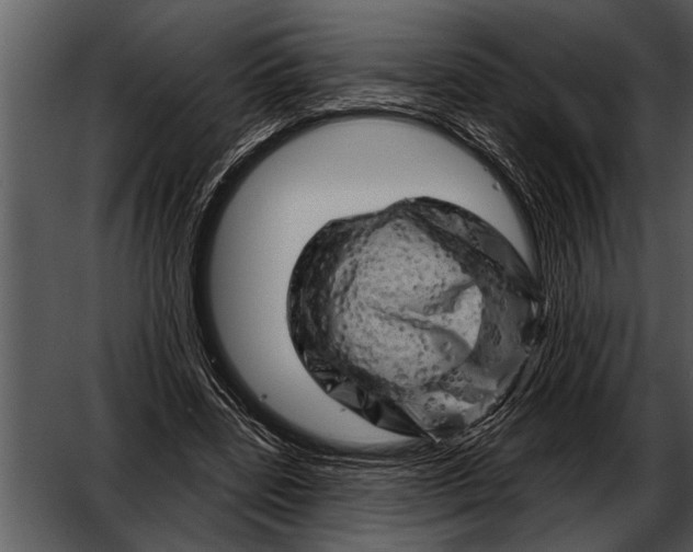 X0000052640539200507160159