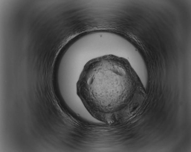 X0000052640540200507160159