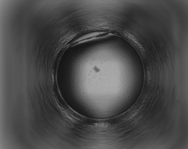 X0000052640541200507160159