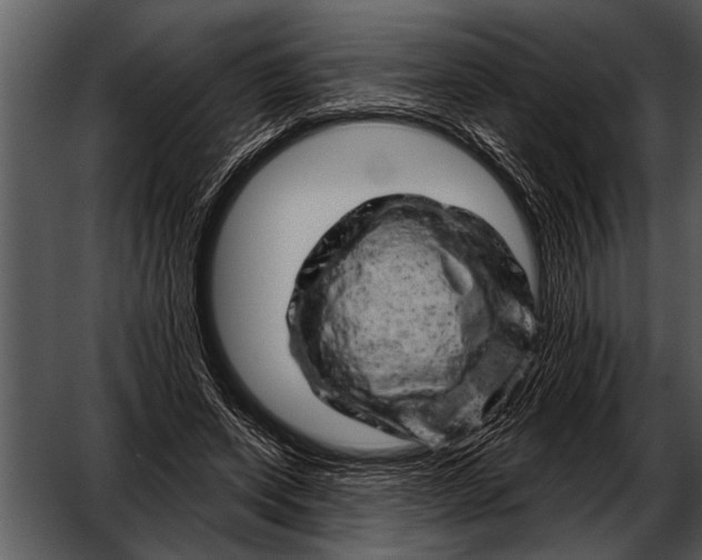 X0000052640543200507160159