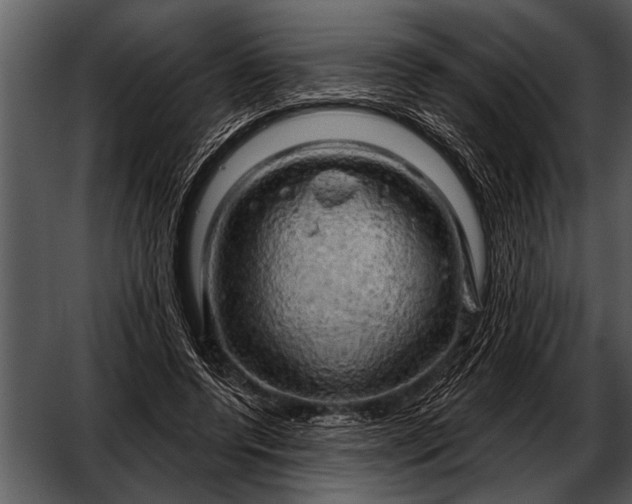 X0000052640544200507160159