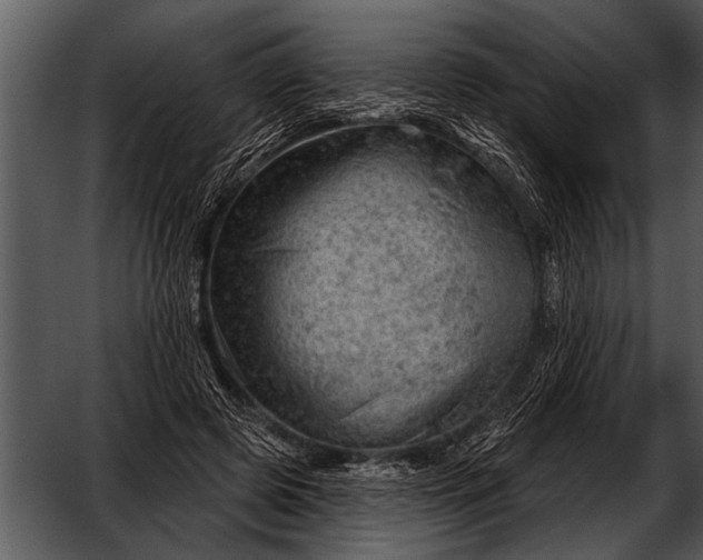 X0000052640545200507160159