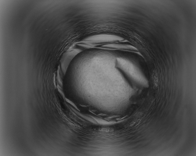 X0000052640546200507160159