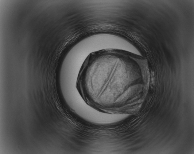 X0000052640547200507160159