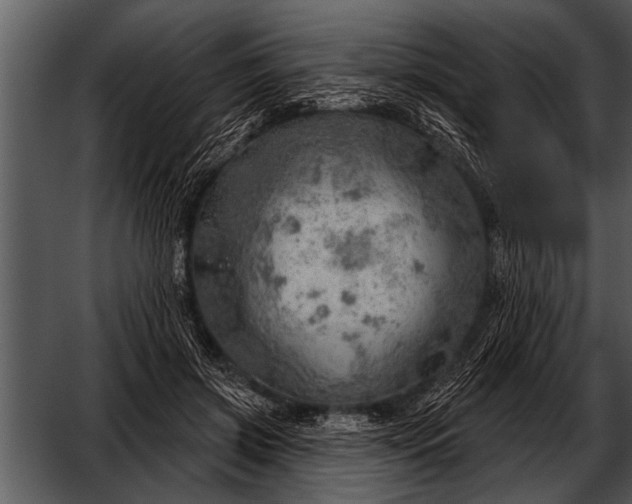 X0000052640549200507160159