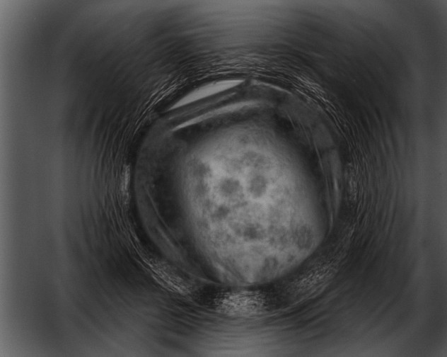 X0000052640550200507160159